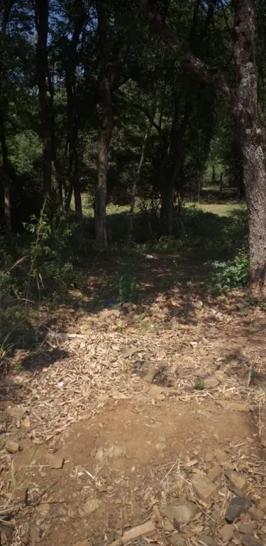 VENDO TERRENO A POCOS METROS DE LA RUTA 6, SANTA MARÍA, ENCARNACIÓN. — foto 2