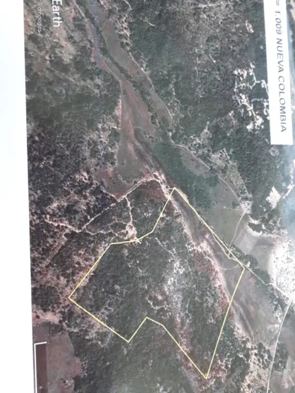 Hermosa propiedad en Nueva Colombia departamento de la cordillera — foto 2