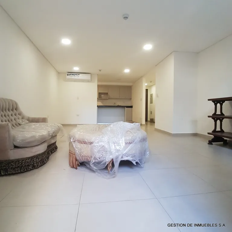 PLENO CENTRO – PARA VIVIENDA YO OFICINA — foto 3