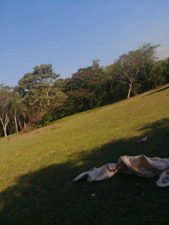 EN VENTA! HERMOSA QUINTA EN ITA — foto 3