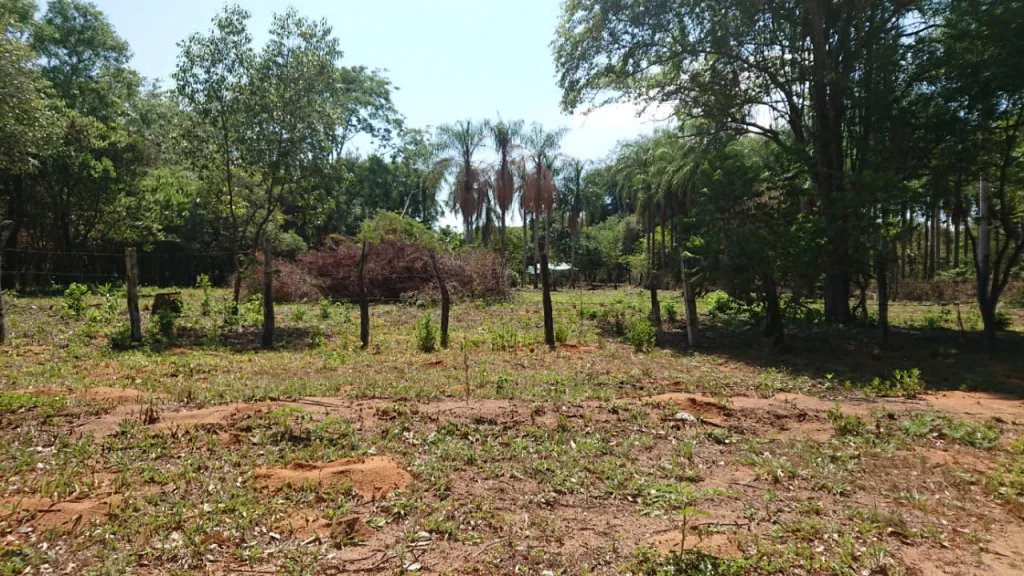 Vendo terrenos en Coratei Ayolas — foto 2