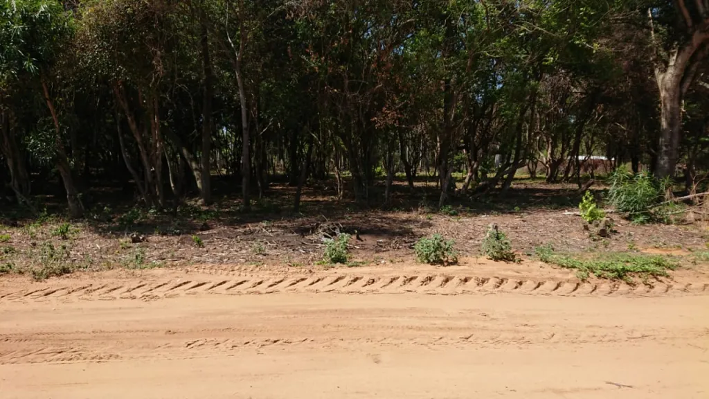 Vendo terrenos en Coratei Ayolas — foto 3