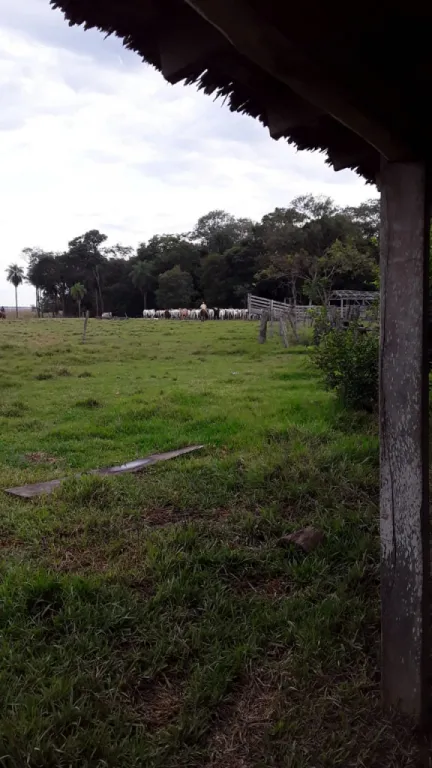 VENDO PROPIEDAD DE 291 HA. — foto 2