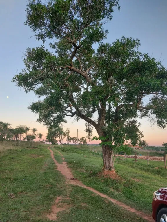 Vendo Terreno En Piribebuy — foto 2
