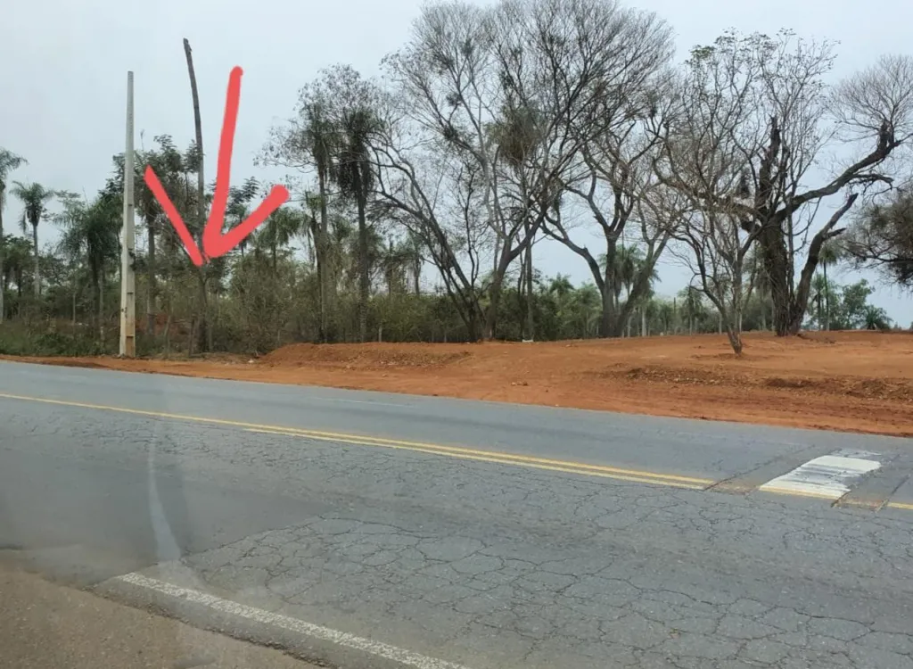 Terreno sobre Ruta 1 (ex Acceso Sur) — foto 2
