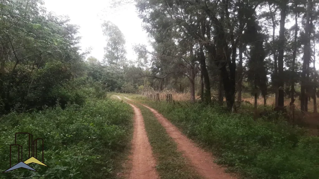 Vendemos 65 Hectareas en Aregua — foto 2