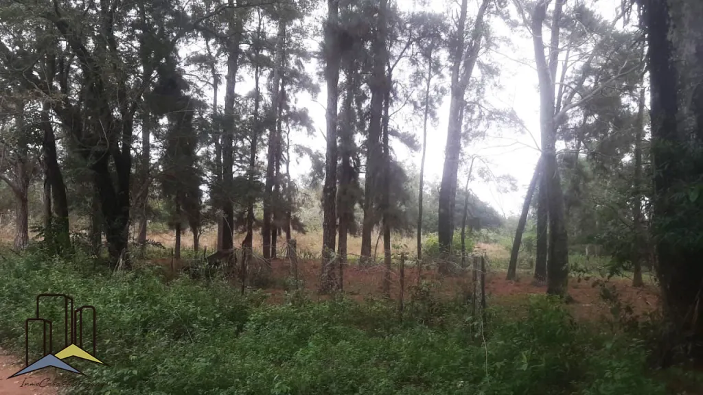 Vendemos 65 Hectareas en Aregua — foto 3