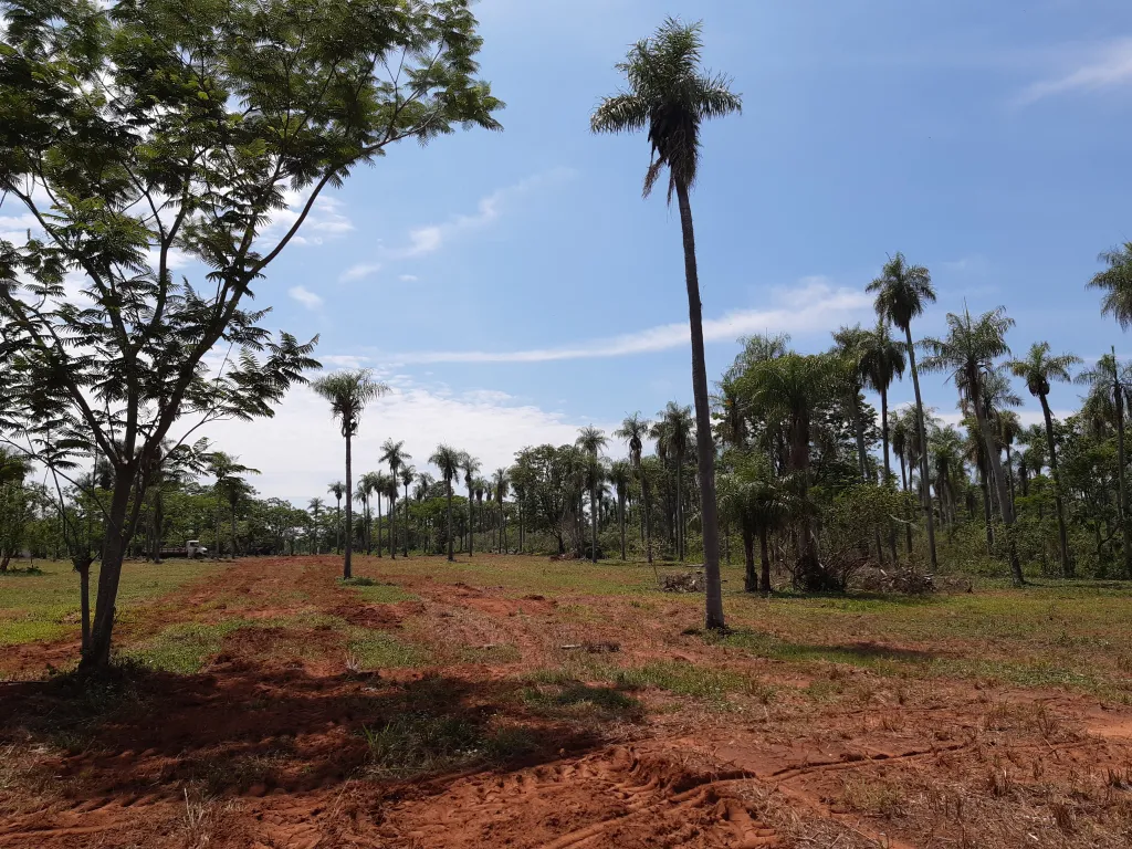 TERRENO A CUOTAS EN ITAUGUÁ SIN ENTREGA INICIAL — foto 3