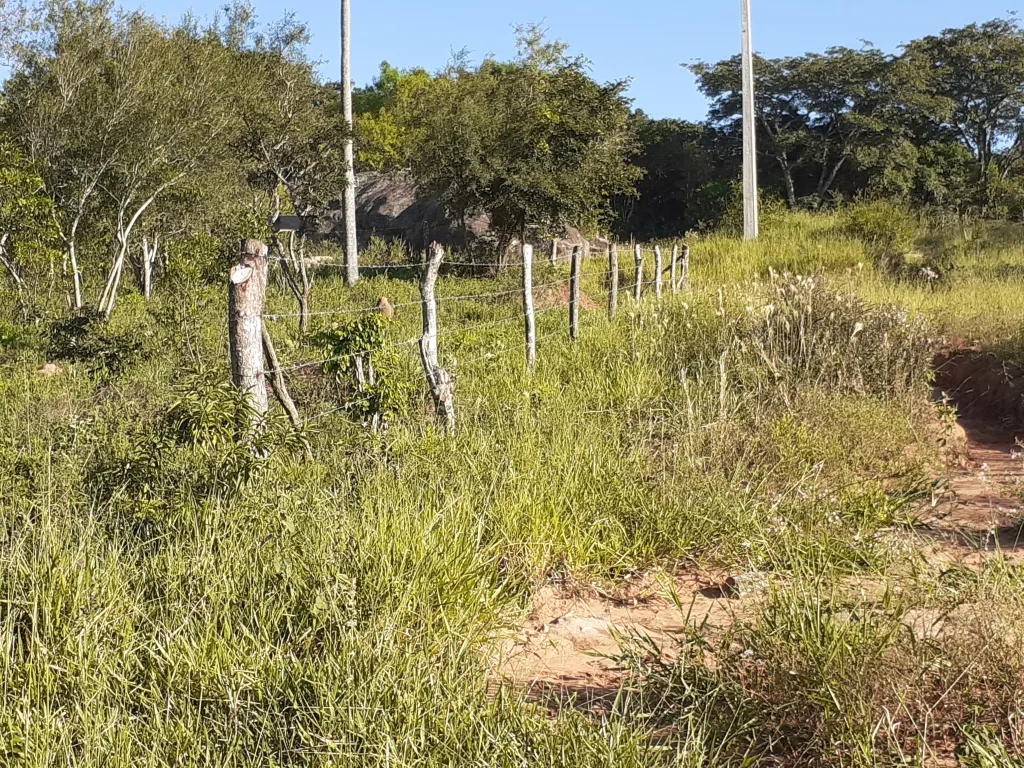 Vendo 2 terrenos juntos — foto 2