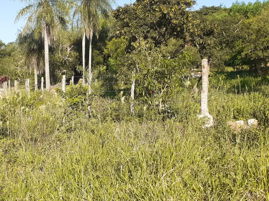 Vendo 2 terrenos juntos — foto 3
