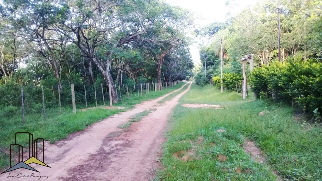 Vendemos 40 Hectareas en Loma Grande! — foto 2