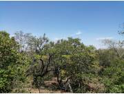 VENDO DOS HECTAREAS EN SAN BERNARDINO 3287