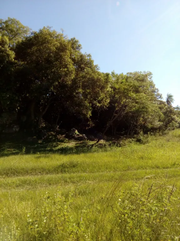 Último terreno en Piribebuy — foto 2