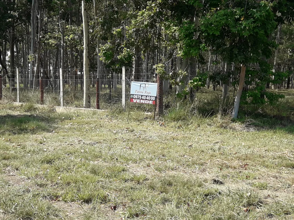 VENDO 50.9 HECTAREAS SOBRE RUTA 1 IDEAL PARA INVERSIONES — foto 2