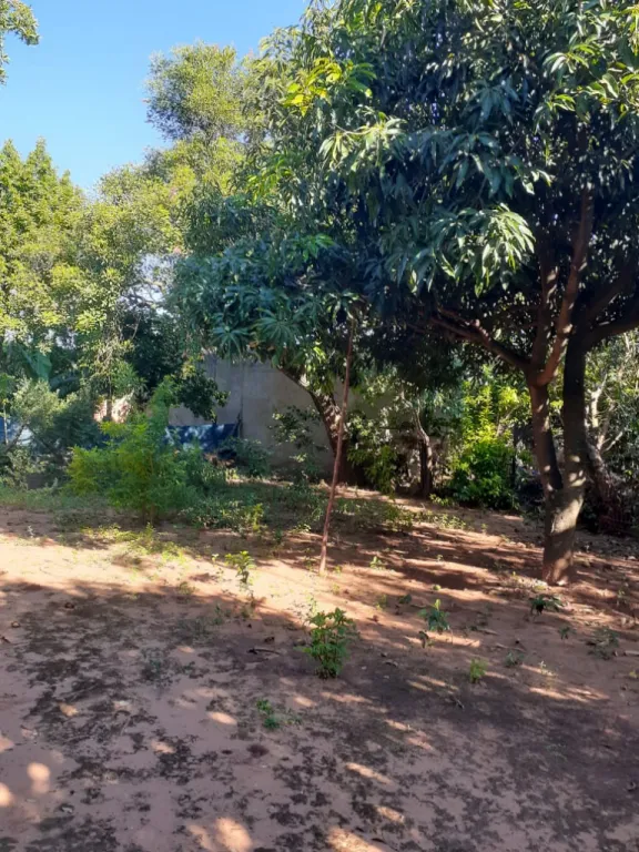 VENDO TERRENO 12×30 EN J AUGUSTO SALDÍVAR — foto 2
