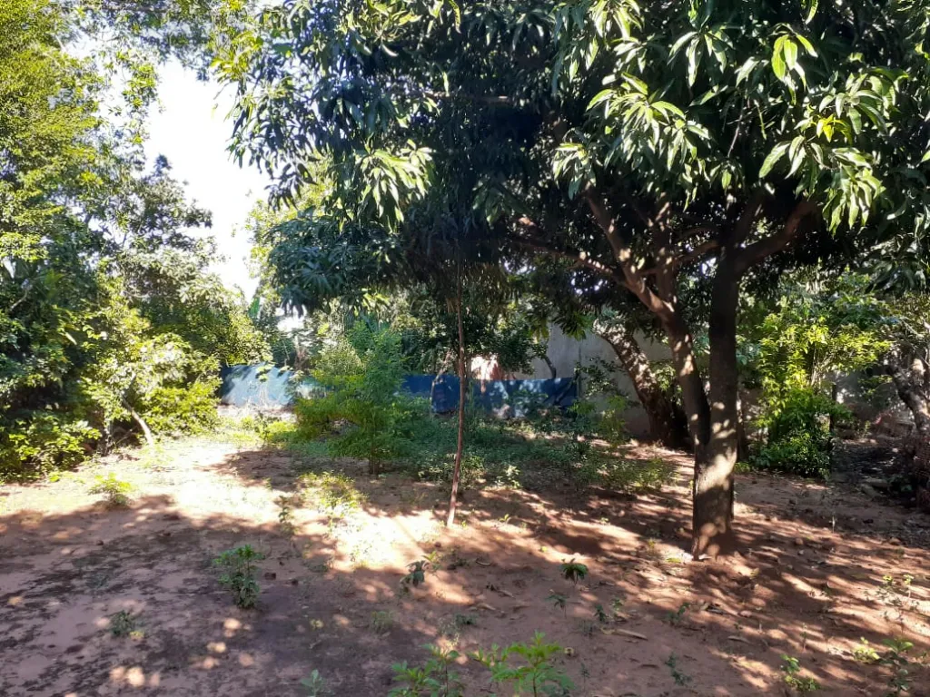 VENDO TERRENO 12×30 EN J AUGUSTO SALDÍVAR — foto 3