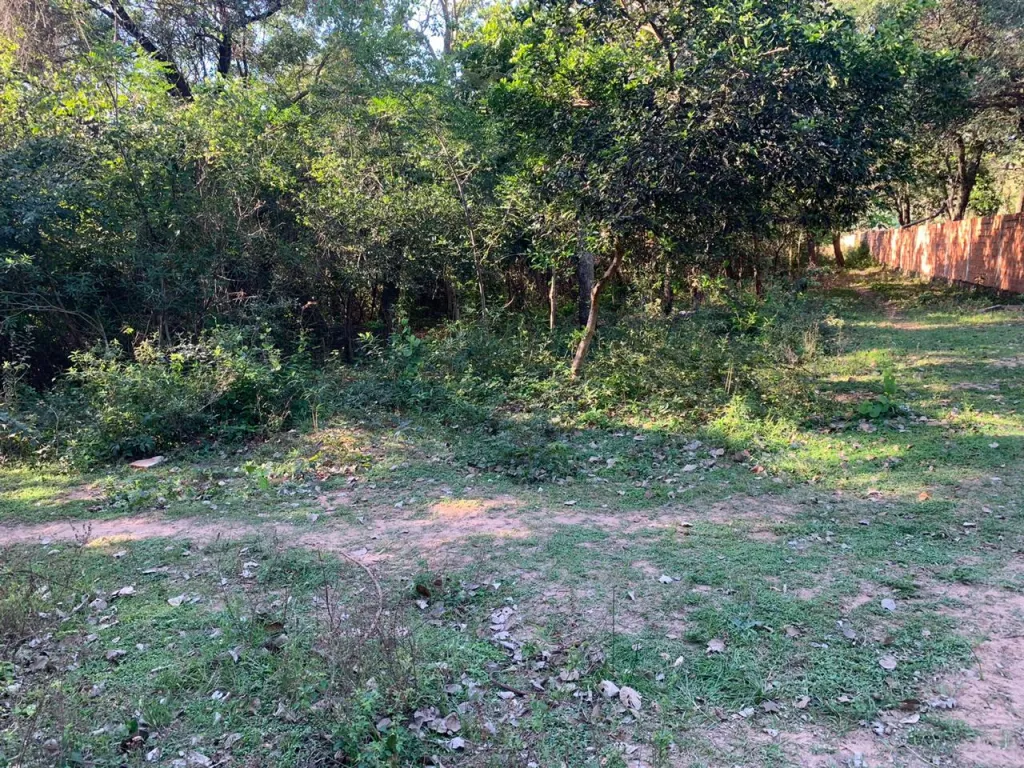 VENDO PROPIEDAD EN SAN BERNARDINO. Cod ES — foto 2