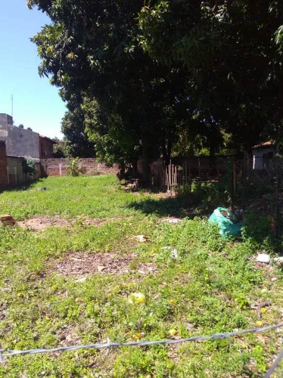 Vendo terreno en Luque excelente ubicación — foto 2