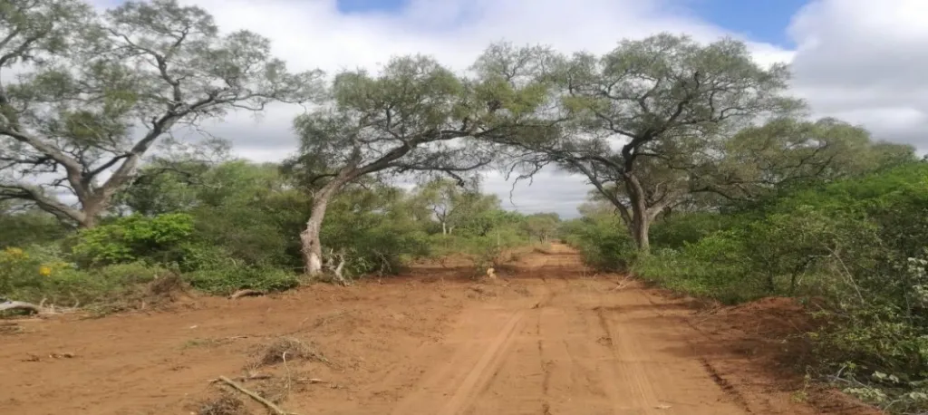 BAHÍA NEGRA, AGUA DULCE - ALTO PARAGUAY: 37.000 HAS, PASTURAS, OFERTA. 450 USD HA. — foto 2