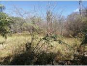 VENDO TERRENO EN LUQUE 3162