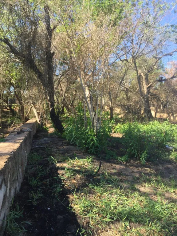 VENDO TERRERO SOBRE EL LAGO YPACARAI, SAN BERNARDINO — foto 3