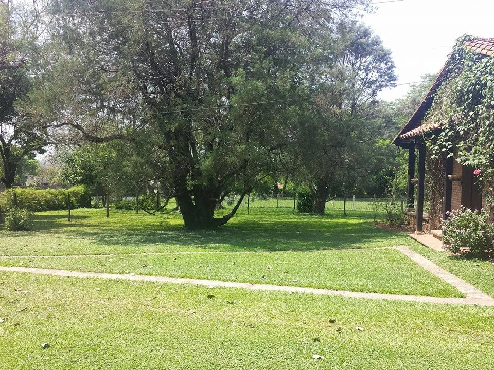 AMPLIA RESIDENCIA Z COLEGIO GOETHE BOTANICA. P Viv. u Oficina. — foto 2