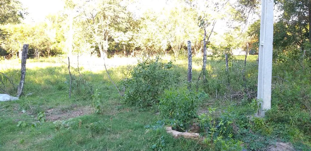 Vendo esta propiedad en Piketekue — foto 2