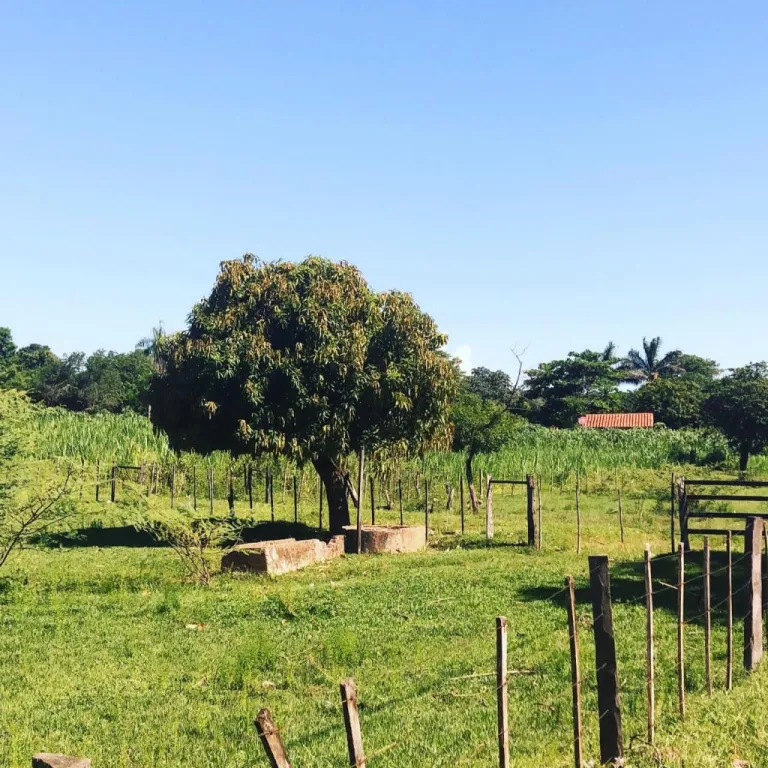 33.534 m2 en venta en Limpio zona montaña alta 8 de diciembre — foto 3