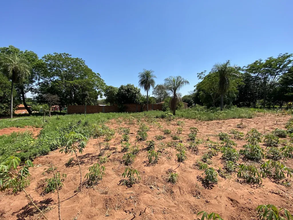 En venta Hermoso Terreno en Ypané - Thompson — foto 2