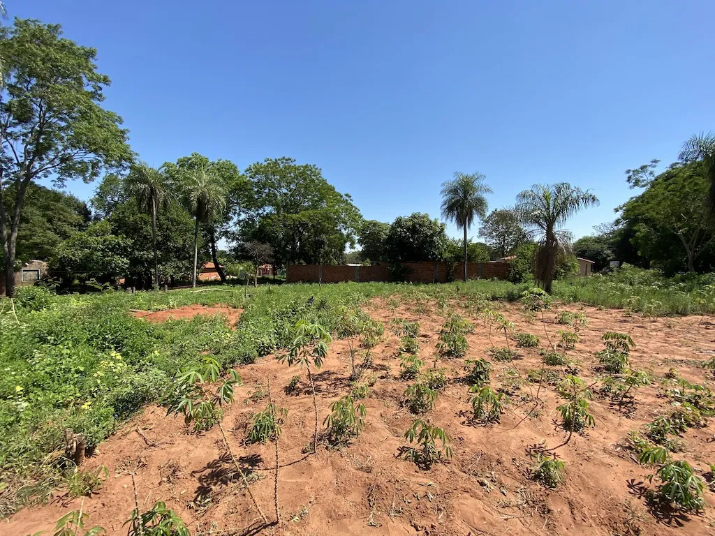 En venta Hermoso Terreno en Ypané - Thompson — foto 3