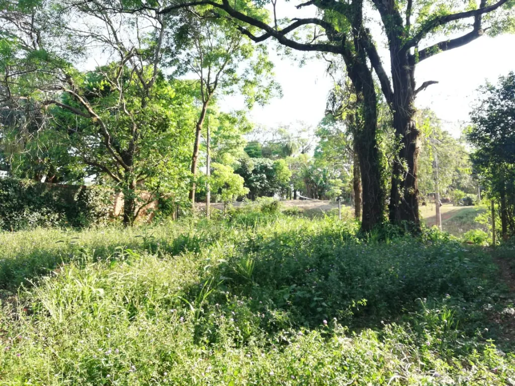 VENDO TERRENO EN SAN ISIDRO — foto 2