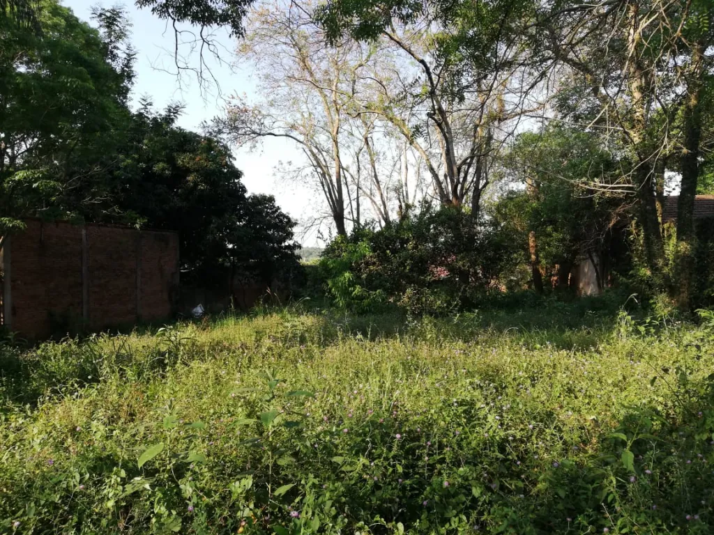 VENDO TERRENO EN SAN ISIDRO — foto 3