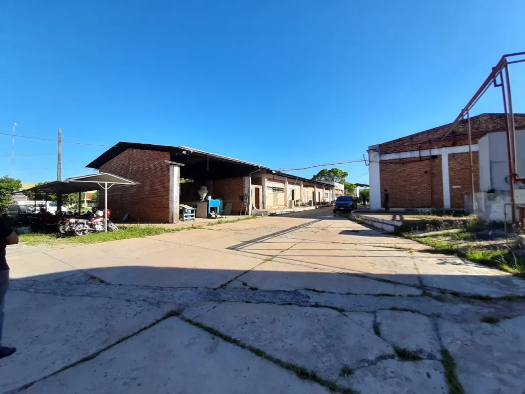 Importante complejo de depósitos de 9.800 m2 a pasos de la Avenida Madame Lynch — foto 3