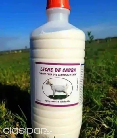 Leche de Cabra pasteurizada, 100% - Agropecuarios Paraguay