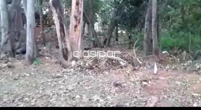 Vendo terreno barato en Luque — foto 3