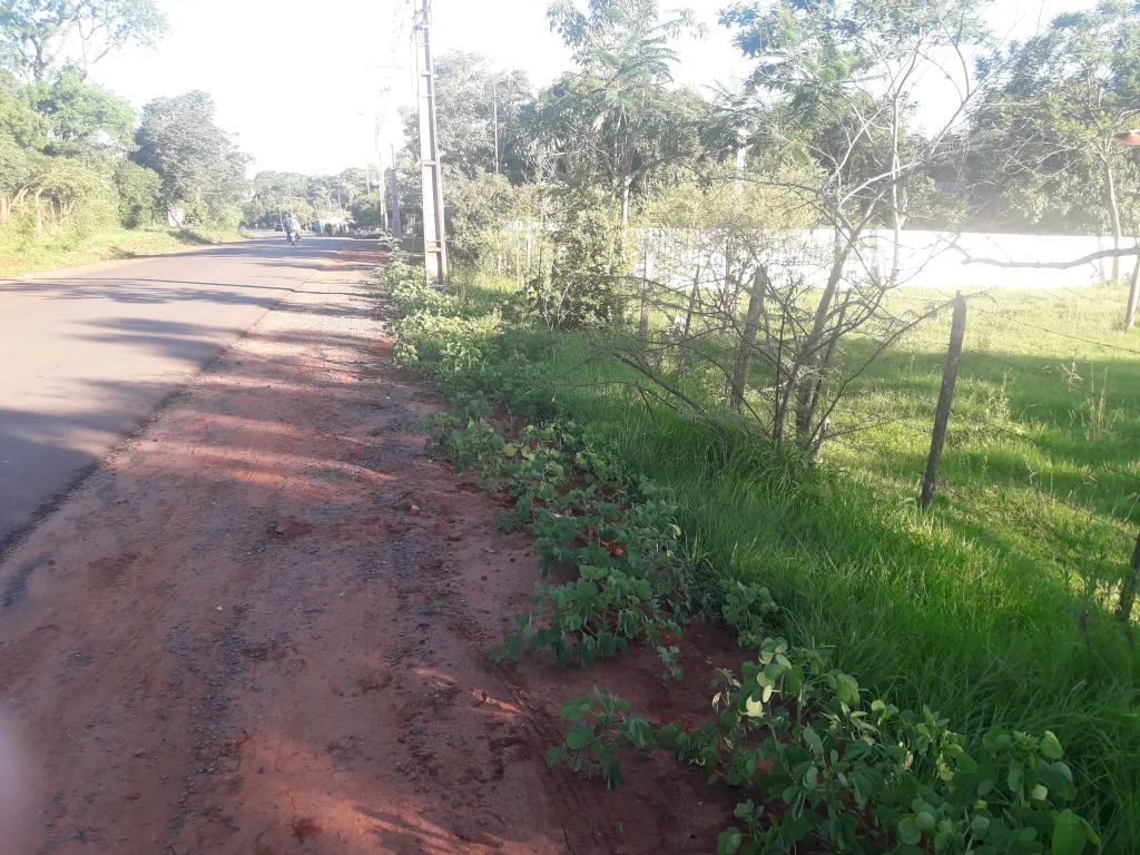 vendo lotes en guarambare — foto 3