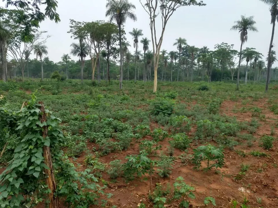 3 TERRENOS JUNTOS EN ITAUGUÁ — foto 2