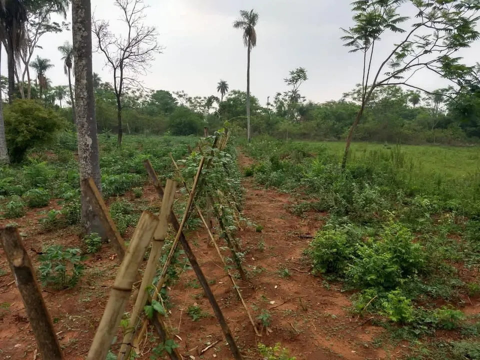 3 TERRENOS JUNTOS EN ITAUGUÁ — foto 3