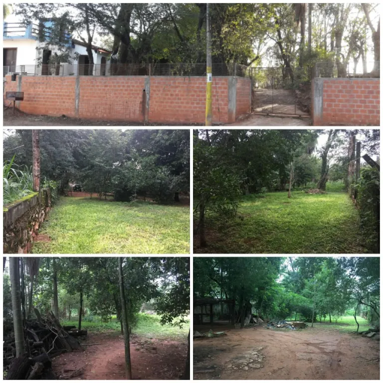 S AVDA. AMERICA – LUQUE: 3.600M2 TOTALMENTE AMURALLADO, MAGNIFICA UBICACIÓN. — foto 2