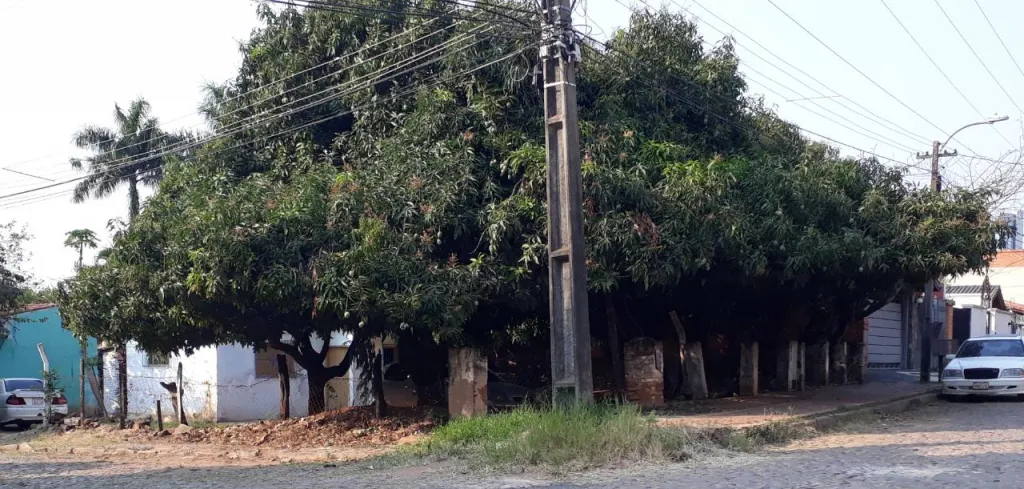 TERRENO RESIDENCIAL EN ESQ. A PASOS DEL EJE CORPORATIVO — foto 2