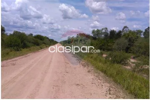 Boquerón Mariscal José Felix Estigarribia Ruta Transchaco Ruta Transchaco 10.000 hetareas. — foto 2