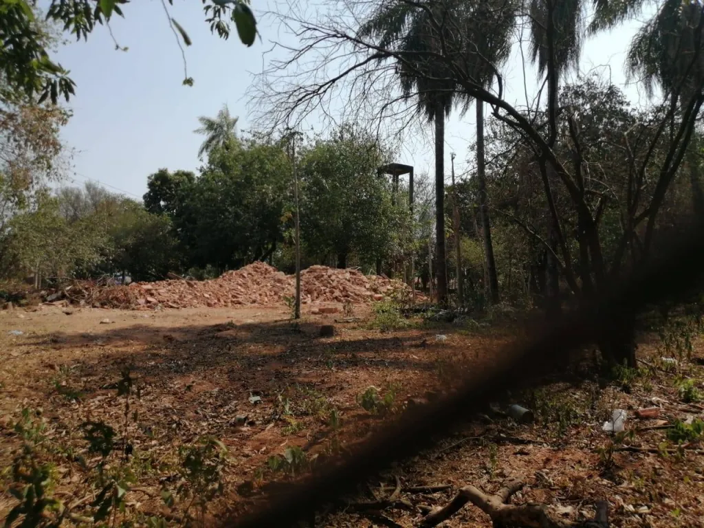 VENDO TERRENO EN LIMPIO COD 3230 — foto 2