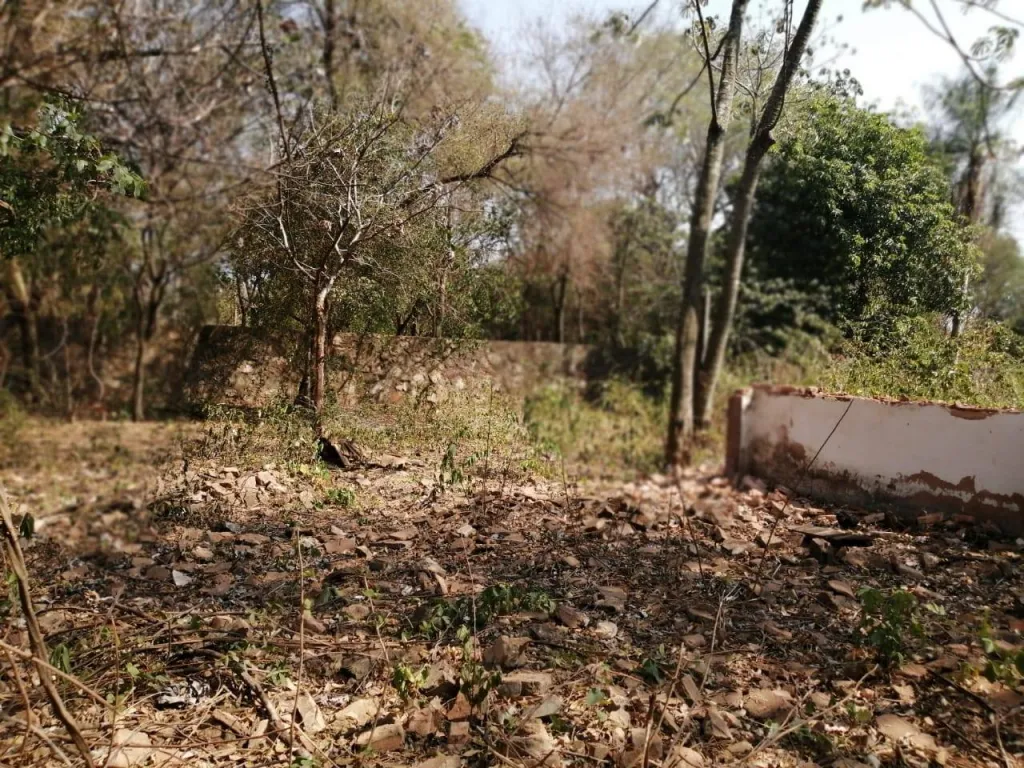 VENDO TERRENO EN LIMPIO COD 3230 — foto 3