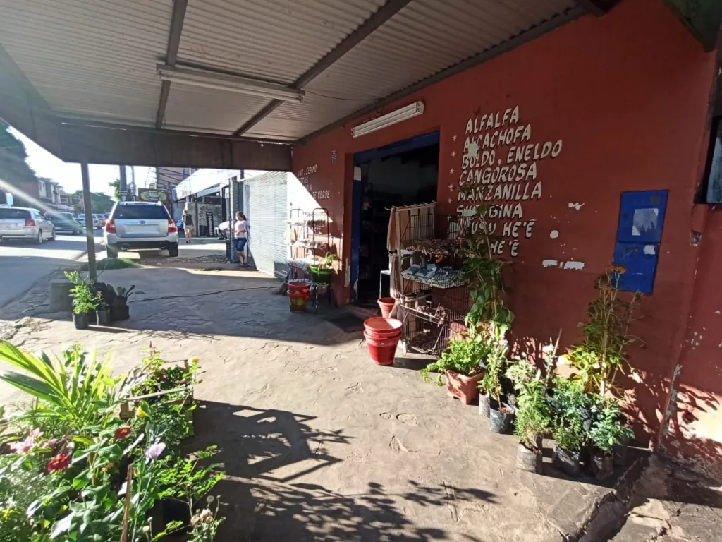 OFERTA DE VIVIENDA CON UN LOCAL COMERCIAL SOBRE 11 DE SEPTIEMBRE - FERNANDO — foto 3