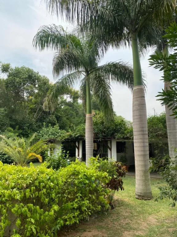 Vendo propiedad en San Bernardino - Totalmente amoblada — foto 2