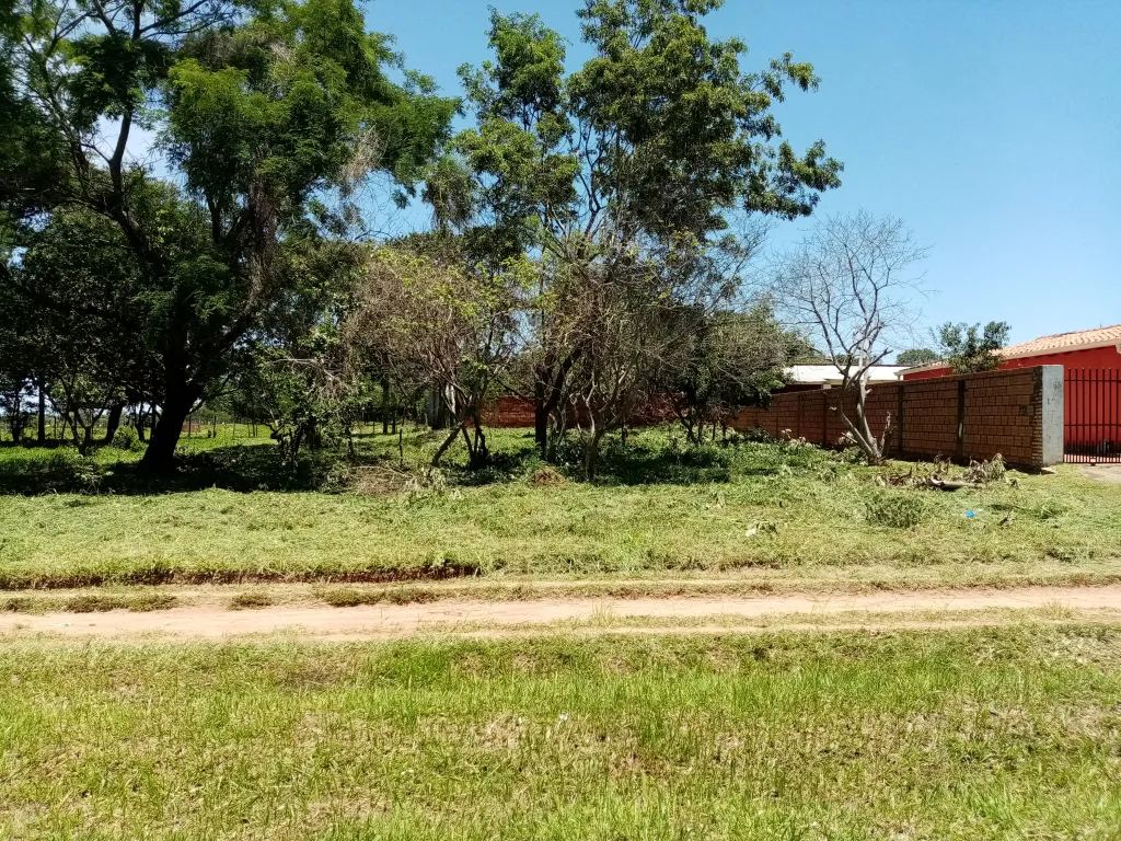 Terreno en piribebuy — foto 2