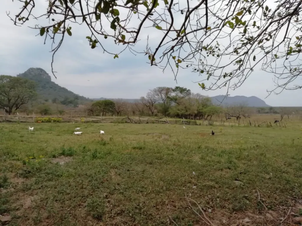 vendo propiedades para Granja, y Agroganaderia — foto 2