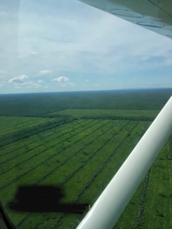 vendo propiedades para Granja, y Agroganaderia — foto 3