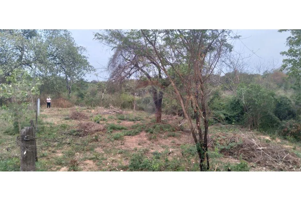 TERRENO EN LIMPIO - ISLA ARANDA — foto 2