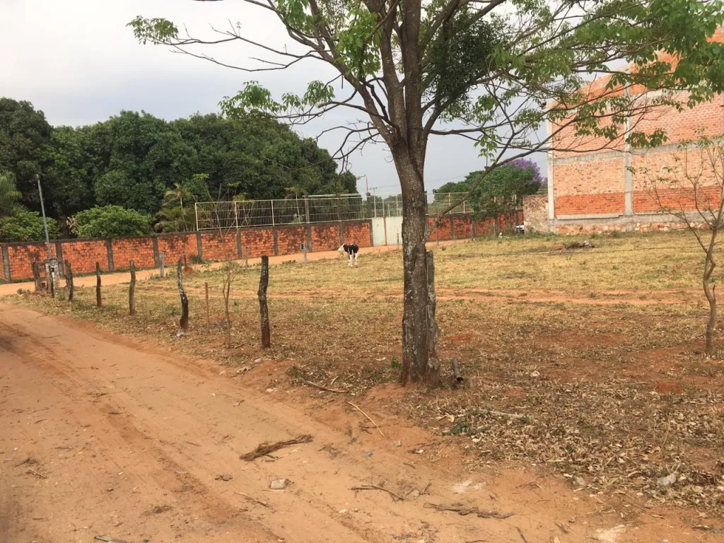 1.887MTS2, CUATRO TERRENOS JUNTOS EN ESQUINA A UNA CUADRA DE GRAL. E. AQUINO! — foto 3